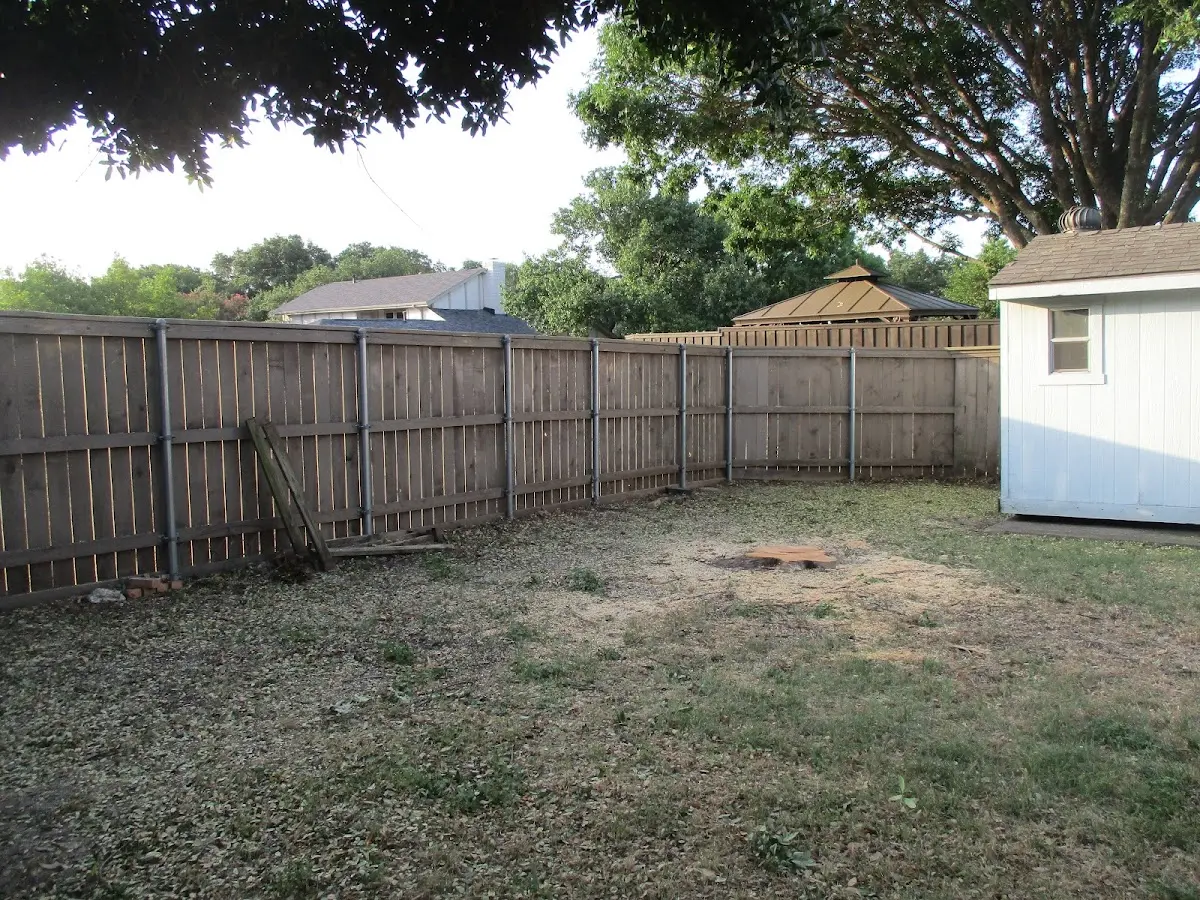 Cleared yard after professional tree removal in Sault Sainte Marie